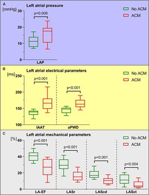 Left Atrial Hypertension, Electrical Conduction Slowing, and Mechanical Dysfunction – The Pathophysiological Triad in Atrial Fibrillation-Associated Atrial Cardiomyopathy